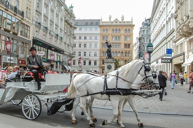 Private Vienna City Tour with Schonbrunn Palace Visit - Exploring Vienna in Style: A Closer Look at the Private City Tour with Schonbrunn Palace Visit