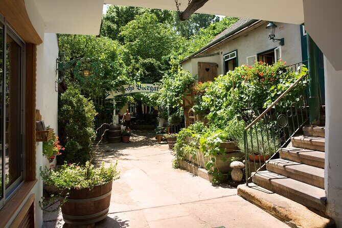 Private Vienna Wine Tour with Top Austrian Wines and Tapas - Final Thoughts: Is It Worth It?