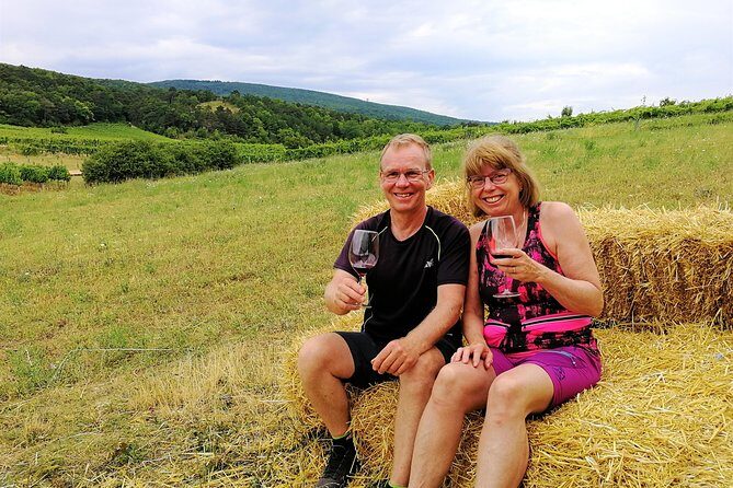 Private Vienna Woods Wine Tour - The Sum Up
