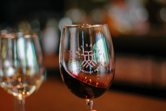 Private Vineyard and Wine Testing Tour From Guanajuato - Key Points
