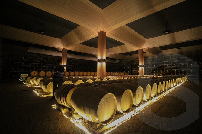 Private Vineyard and Wine Testing Tour From Guanajuato - Exploring the Itinerary in Detail