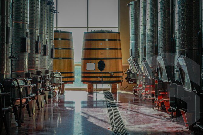 Private Vineyard and Wine Testing Tour From Guanajuato - Who Will Love This Tour?