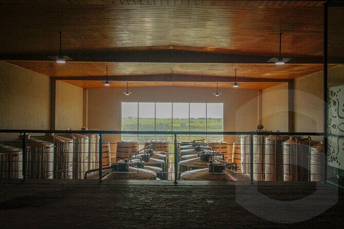 Private Vineyard and Wine Testing Tour From Guanajuato - Final Thoughts