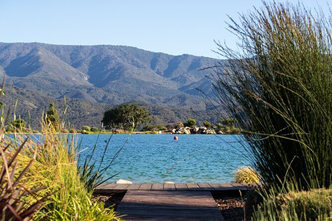 Private Vineyard Tour and Wine Tasting - Analyzing the Experience: Is It Worth the Price?