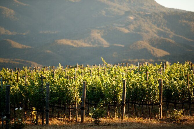 Private Vineyard Tour and Wine Tasting - Who Would Love This Tour?