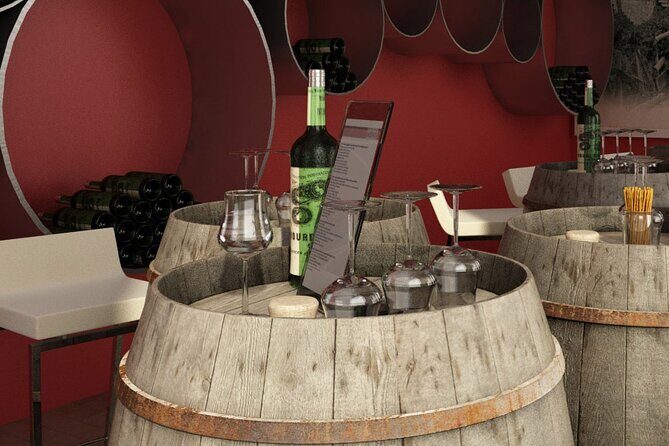 Private Vineyard Tour of Provence from Nice - An In-Depth Look at the Tour Experience