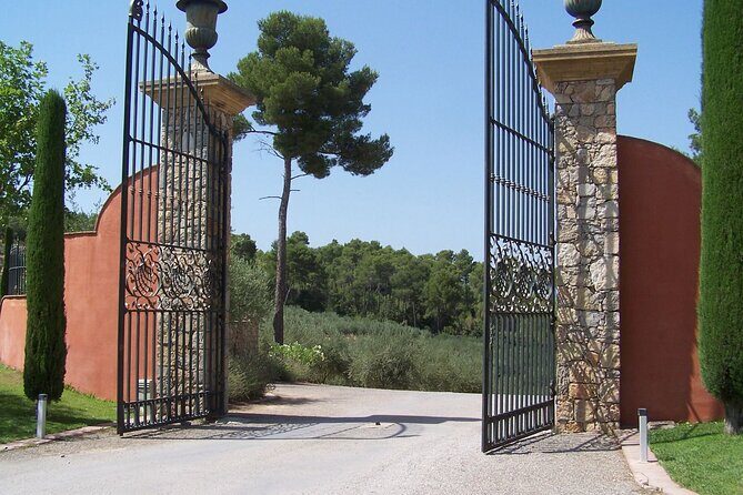 Private Vineyard Tour of Provence from Nice - The Value of This Experience