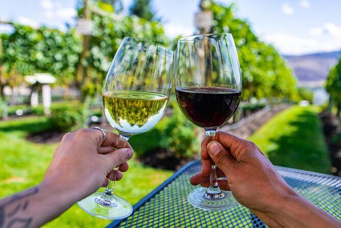 Private Vineyard Tour with Dinner Under the Stars in Karnas - A glowing review of the Private Vineyard Tour with Dinner Under the Stars in Karnas