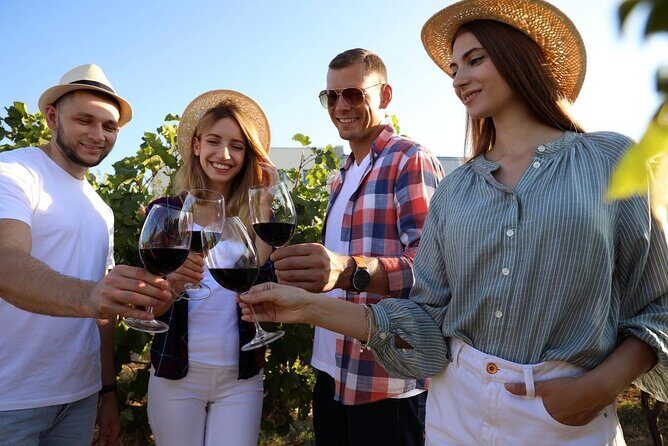 Private Vineyard Tour with Dinner Under the Stars in Karnas - Practical Tips for Travelers