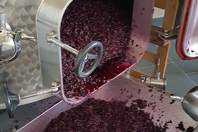 Private Vineyard Visit: Wine Tasting, Local Delicacies & Ceramics - Exploring the Amalfi Coast through a Private Lens