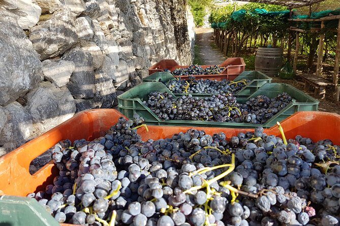 Private Vineyard Visit: Wine Tasting, Local Delicacies & Ceramics - Practical Details and Value