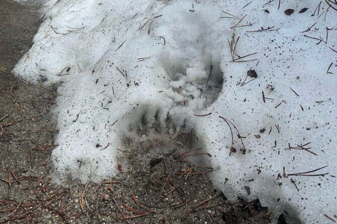 Private VIP Tour of Grand Teton National Park - What’s Included and What’s Not