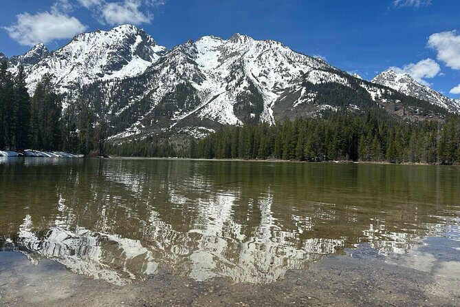 Private VIP Tour of Grand Teton National Park - The Sum Up: The Best for Nature Lovers and Curious Travelers