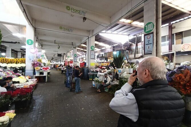 Private VIP Tour of Mexico City Customizable 3 Hour Experience - Cultural Deep Dive: Chapultepec Castle and the National Museum of Anthropology