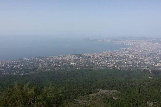 Private Vip Tour of Pompeii Day Trip From Rome - Key Points