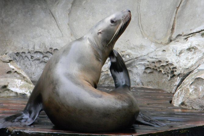 Private-VIP- Vancouver City Tour, SUV - Exploring Vancouver in a Private SUV: What to Expect