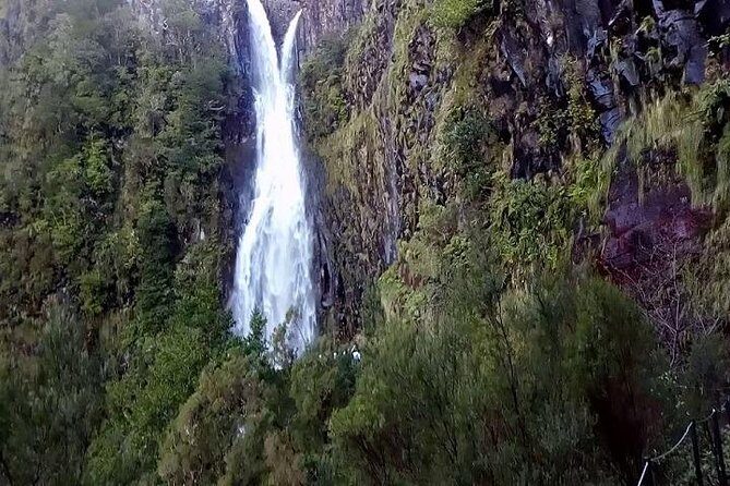 Private VipTours up to 4pax/8pax/19pax - A Closer Look at What Makes This Tour Special