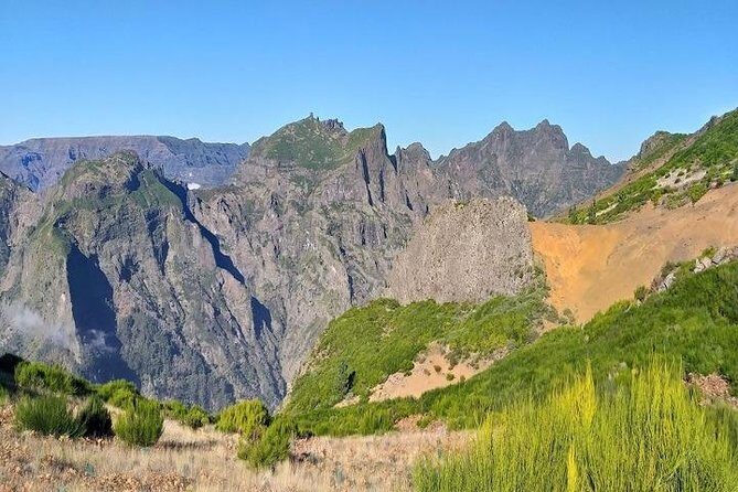 Private VipTours up to 4pax/8pax/19pax - Authentic Experiences and Guest Insights