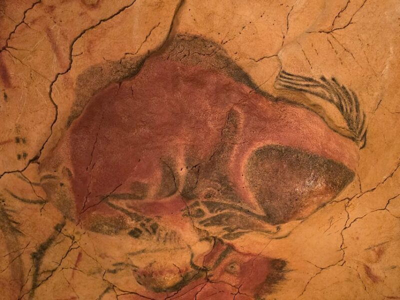 Private visit Altamira Museum and Neocave: the fascination of prehistory - An In-Depth Look at the Experience