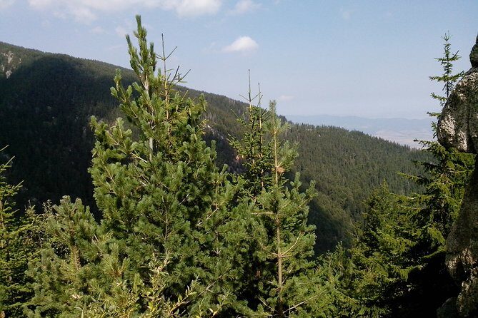 Private Vitosha Mountains Hiking with Black peak & Dragalevtsi Monastery - Who Will Enjoy This Tour?
