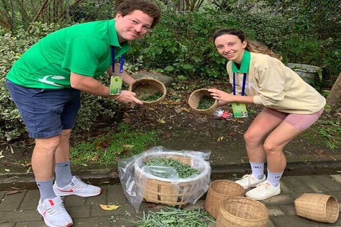 Private Volunteer Program At Dujiangyan Panda Rescue Center - Authentic Insights from Past Participants