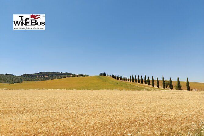 Private Vulture Wine Tour from MATERA with sommelier - Exploring the Vulture Wine Region