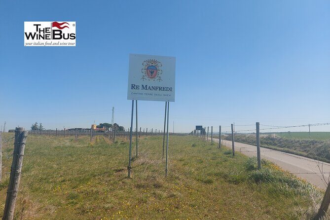 Private Vulture Wine Tour from MATERA with sommelier - The Cost and Value