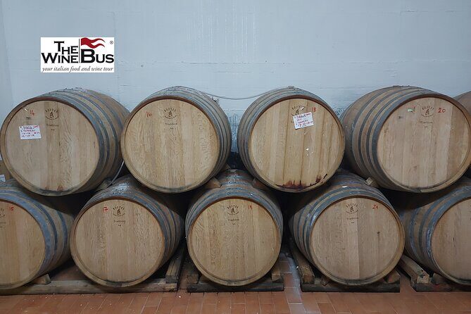 Private Vulture Wine Tour from MATERA with sommelier - Who Should Consider This Tour?