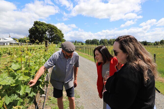 Private Wairarapa Wine Delights Tour from Wellington - Who Will Love This Tour?