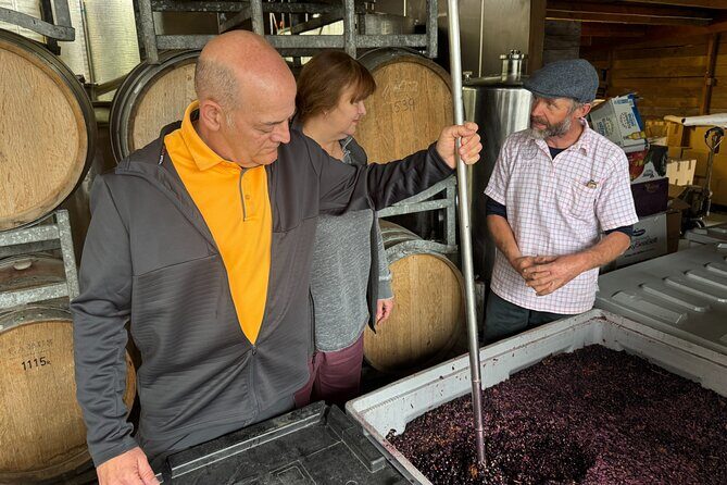 Private Wairarapa Wine Delights Tour from Wellington - What’s Included and How It Adds Value