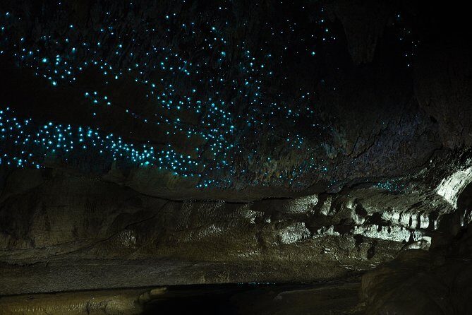 Private Waitomo Caves Tour - Auckland Tour House - Key Points