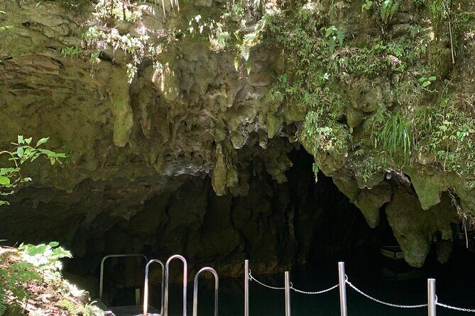 Private Waitomo Caves Tour - Auckland Tour House - Authentic Experiences and Real Reviews