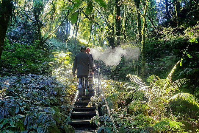 Private Waitomo Glowworm Cave Tours - What Travelers Love About This Tour