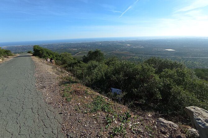 Private Walking Tour and Guided Picnics with Local Food and Wine - Key Points