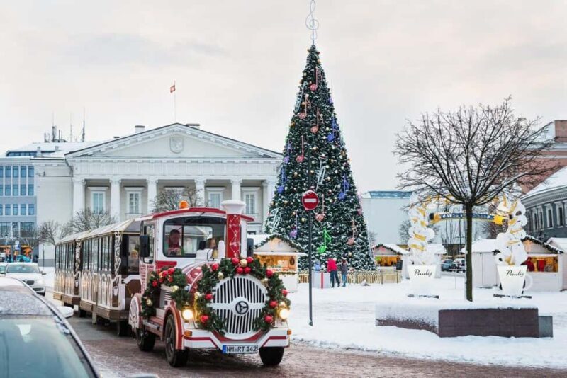 Private Walking Tour Around Vilnius During Christmas Time - Highlights of the Tour