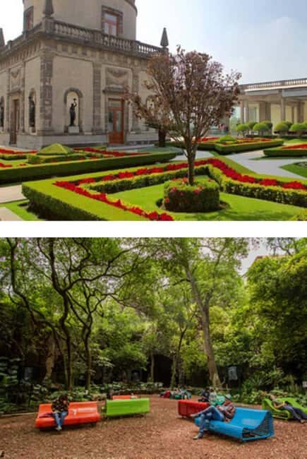 Private walking tour Gems of Historic Center of Mexico City - Key Points