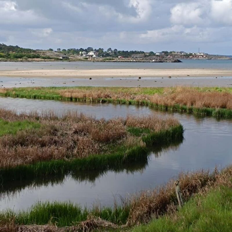 Private Walking Tour Gothenburg: Old Town & Åsa Coastline - Practical Details and Tips