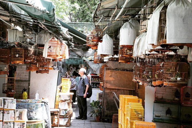 Private Walking Tour: Hong Kong Local Markets Hopper - Key Points