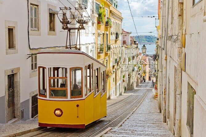 Private Walking Tour in Lisbon with Wine Tasting - Key Points