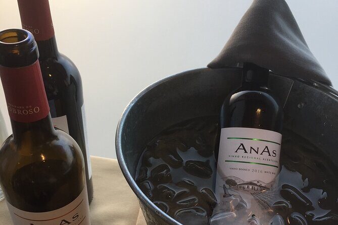 Private Walking Tour in Lisbon with Wine Tasting - Who Will Love This Tour?