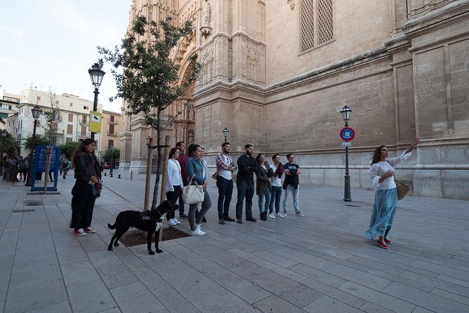 Private walking tour in Palma de Mallorca with local guides. - FAQs
