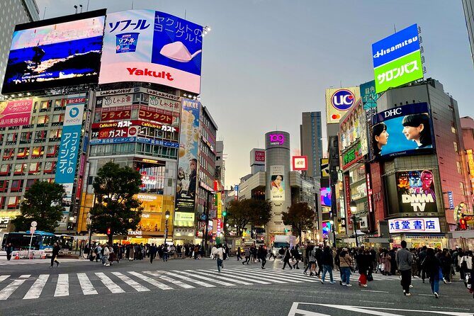 Private Walking Tour in Tokyo - Perfect for First-Time Visitors - Who Is This Tour Best For?