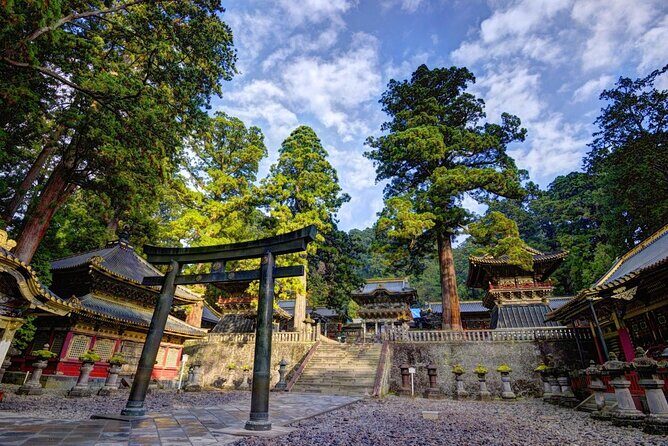 Private walking Tour in Tokyo with a Local Guide - An Authentic, Personal Exploration of Tokyo