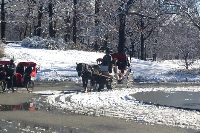 Private Walking Tour: Jewish Colonial History in New York City - Deep Dive into the Details