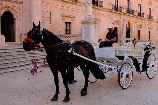 Private Walking Tour of Ortigia with a Certified Guide - Key Points