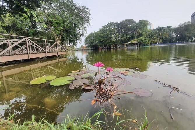 Private Walking Tour of the Shah Alam Lake Gardens with Pick Up and Lunch - Exploring the Shah Alam Lake Gardens: A Quiet Escape from Kuala Lumpur
