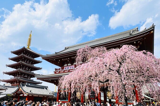 Private Walking Tour to explore Tokyo based on your interests - Introduction: An Authentic Exploration of Tokyo