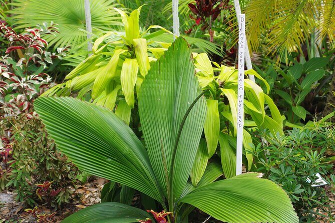 Private Walking Tour to St. John's Botanical Garden - Frequently Asked Questions