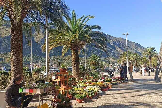 Private Walking tour with Wine and Food - FAQ