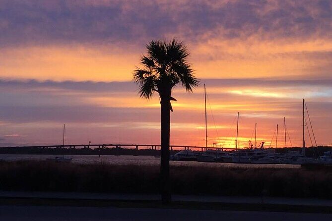 Private Walking Tours of Historic Charleston - Key Points